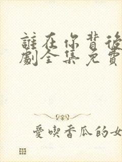 谁在你背后电视剧全集免费观看