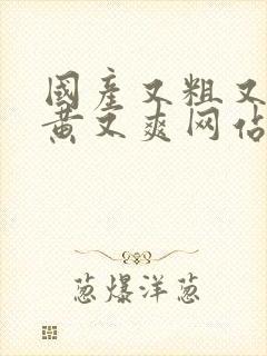 国产又粗又猛又黄又爽网站