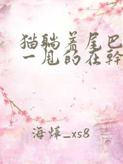 猫躺着尾巴一甩一甩的在干嘛