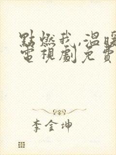 点燃我,温暖你电视剧免费观看完整版