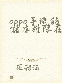 oppo手机的储存权限在哪里