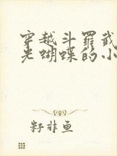 穿越斗罗武魂圣光蝴蝶的小说