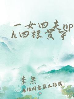 一女四夫np高h四根贯穿