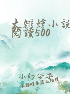 大杂烩小说全集阅读500