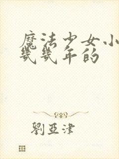 魔法少女小圆是几几年的