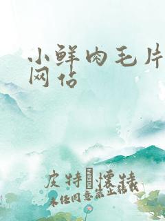 小鲜肉毛片av网站