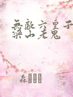 无敌六皇子下载梁山老鬼