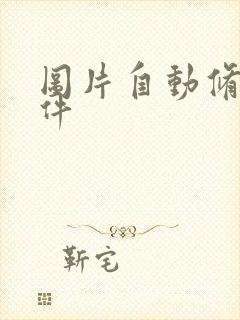 图片自动修图软件