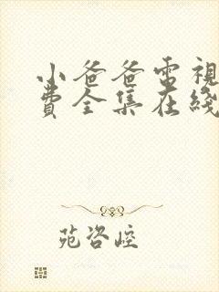 小爸爸电视剧免费全集在线观看