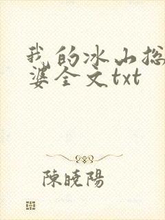 我的冰山总裁老婆全文txt