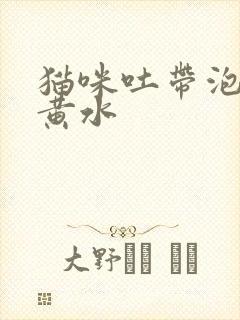 猫咪吐带泡沫的黄水