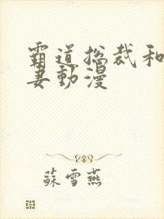 霸道总裁和小娇妻动漫