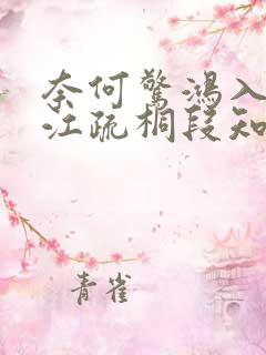 奈何惊鸿入我心江疏桐段知许全文阅读