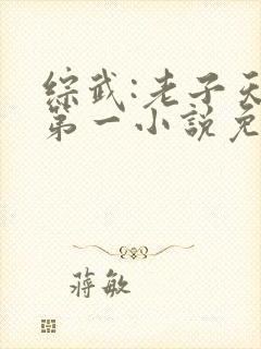 综武:老子天下第一小说免费阅读完本