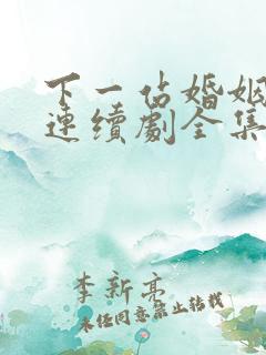 下一站婚姻电视连续剧全集