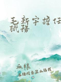 毛新宇担任什么职务