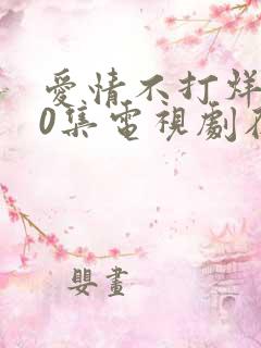 爱情不打烊第40集电视剧在线观看免费