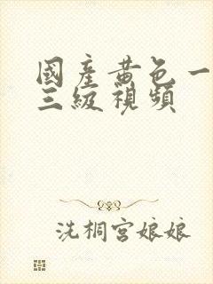 国产黄色一级到三级视频