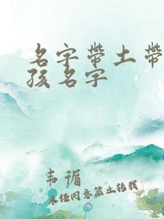 名字带土带金男孩名字