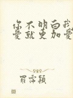 你不明白我说不爱就更加爱什么歌