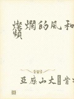 灿烂的风和海视频