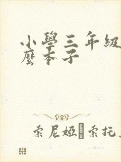 小学三年级用什么本子