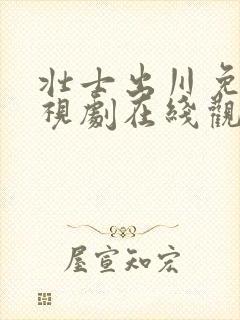 壮士出川免费电视剧在线观看