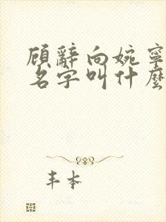 顾辞向婉宁小说名字叫什么