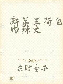 新第三荷包高h肉辣文