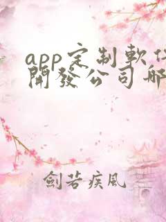 app定制软件开发公司哪家好