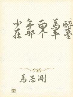 少年白马醉春风在哪个平台播放