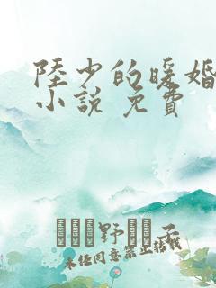 陆少的暖婚新妻小说 免费