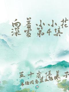 向着小小花蕾的深处第4集