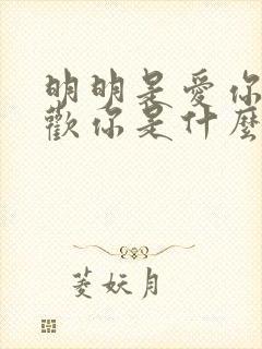 明明是爱你最喜欢你是什么歌