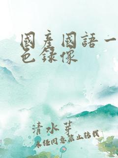 国产国语一级黄色录像