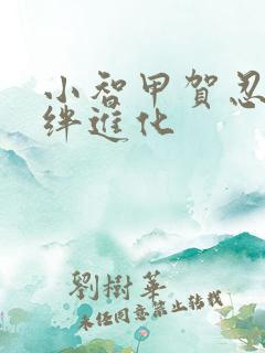 小智甲贺忍蛙羁绊进化