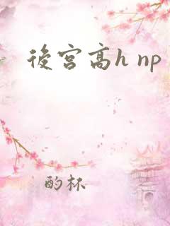 后宫高h np