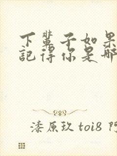 下辈子如果我还记得你是哪一年的歌