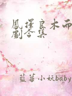 凤择良木而栖短剧合集