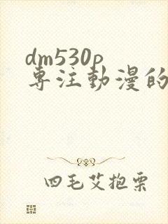 dm530p 专注动漫的门户网站