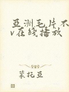 亚洲毛片不卡av在线播放