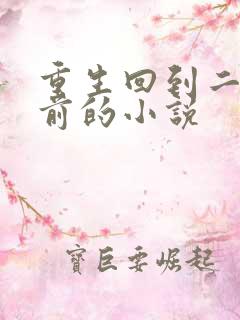 重生回到二十年前的小说