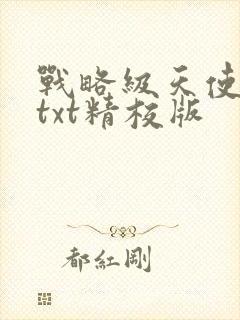 战略级天使小说txt精校版