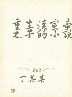 重生汉宣帝刘询之子的小说