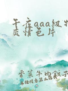 午夜aaa级特爽情色片