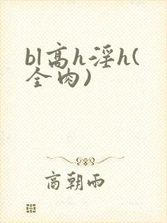 bl高h淫h(全肉)