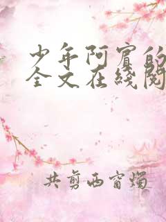 少年阿宾的故事全文在线阅读无弹窗