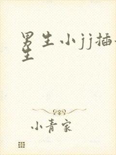 男生小jj插女生