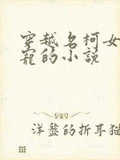 穿越名柯女主团宠的小说