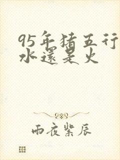 95年猪五行属水还是火